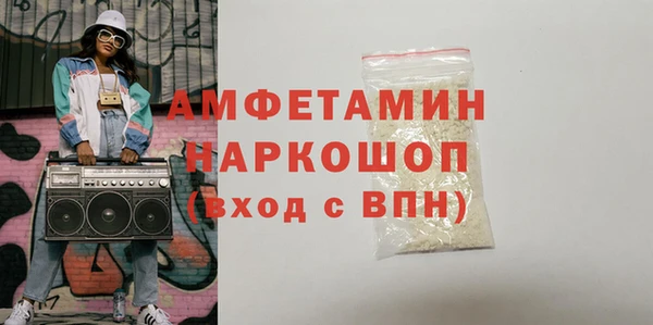 мдпв Кадников
