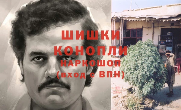 мдпв Кадников