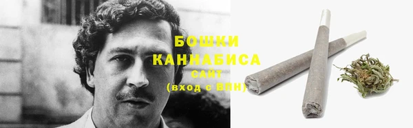 мдпв Кадников