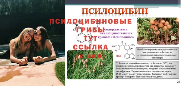 каннабис Володарск