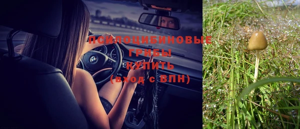 ешки Волосово