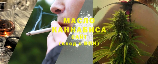 мдпв Кадников