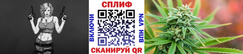 Купить где  Арамиль  Шишки марихуана тримм 